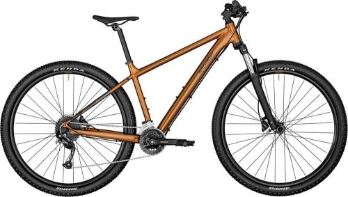 Bergamont Revox 4
