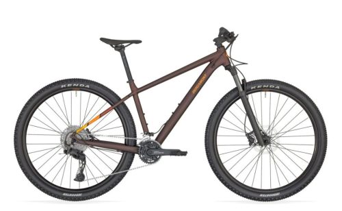 Bergamont Revox 7 