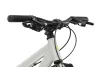 Kross Dust JR 1.0